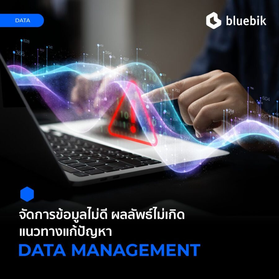 Data Management คืออะไร พร้อมแนวทางแก้ปัญหาเมื่อต้องจัดการข้อมูล - Bluebik