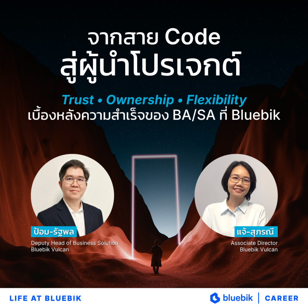 Business Analyst System Analyst