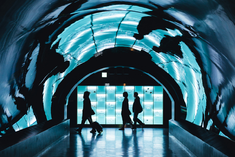 การสร้างทีมภายในองค์กรให้สนับสนุนการทำงานกับที่ปรึกษา Digital Transformation