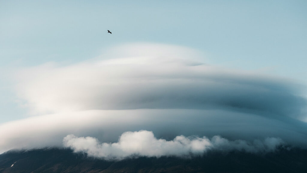 Public Cloud คืออะไร? ทำไมองค์กรยุคใหม่ต้องใช้เพื่อเพิ่มประสิทธิภาพ