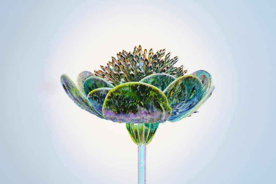 เจาะลึกประเภทของ AI Agent: ตั้งแต่ระบบตอบสนองพื้นฐาน สู่เอเจนท์อัจฉริยะที่เรียนรู้ได้เอง